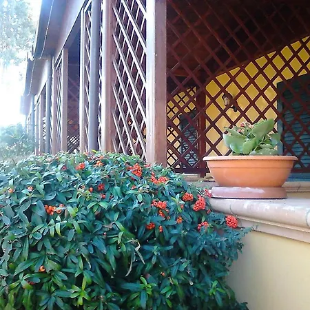 Hotel Federico Ii Naples